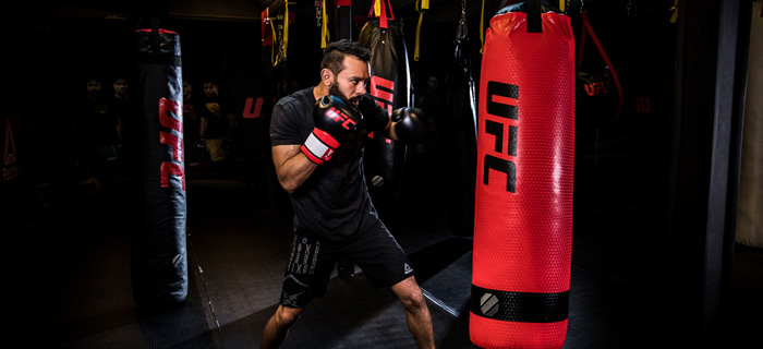 A Buyer's Guide to Punching Bags: What Style Is Right for You? | Ringside  Boxing Blog